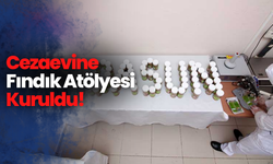 Cezaevine Fındık Atölyesi Kuruldu!