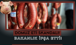 Domuz Eti Skandalı! Bakanlık İfşa Etti!