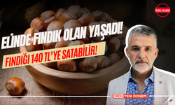 Elinde Fındık Olan Yaşadı! Fındığı 140 TL’ye Satabilir!