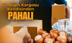 Fındığın Kargosu Kendisinden Pahalı!