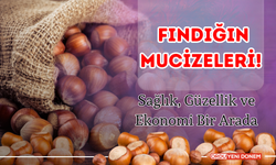 Fındığın Mucizeleri! Sağlık, Güzellik ve Ekonomi Bir Arada