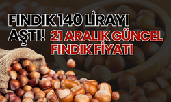 Fındık 140 Lirayı Aştı! 21 Aralık Güncel Fındık Fiyatı