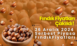 Fındık Fiyatları Değişti! 26 Aralık 2024 Serbest Piyasa Fındık Fiyatları