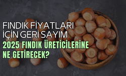 Fındık Fiyatları İçin Geri Sayım: 2025 Fındık Üreticilerine Ne Getirecek?