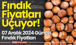 Fındık Fiyatları Uçuyor! İşte Son Durum! 07 Aralık 2024 Güncel Fındık Fiyatları…