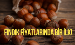 Fındık Fiyatlarında Bir İlk! 22 Aralık 2024 Serbest Piyasada Fındık Fiyatları