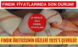 Fındık Fiyatlarında Son Durum! Fındık Üreticisinin Gözleri 2025’e Çevrildi!