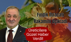 Fındık İhracatı Rakamını Açıkladı, Üreticilere Güzel Haber Verdi!