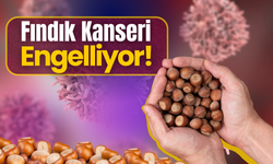 Fındık Kanseri Engelliyor!