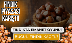 Fındık piyasası karıştı! Fındıkta emanet oyunu! Bugün fındık kaç tl?