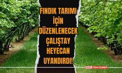 Fındık Tarımı İçin Düzenlenecek Çalıştay Heyecan Uyandırdı!