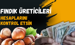 Fındık Üreticileri Hesaplarını Kontrol Etsin