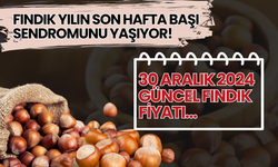 Fındık Yılın Son Hafta Başı Sendromunu Yaşıyor! 30 Aralık 2024 Güncel Fındık Fiyatı…