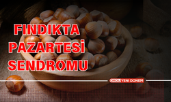 Serbest Piyasada Son Durum! 9 Aralık Pazartesi Fındık Fiyatları!