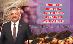 Fındıktan Kokarca Bahanesiyle Randıman Çalıyorlar! Fındık En Az 150 TL Olmalı!