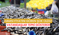 Hamsi Fiyatını Gören Şok Oldu! Vatandaşlar Tepki Gösterdi!