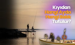 Kıyıdan Hangi Ayda Hangi Balık Tutulur?