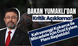 Bakan Yumaklı’dan Kritik Açıklama: Kahverengi Kokarca ile Mücadele İçin Özel Eylem Planı Başlatıldı!