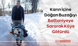 Karın İçine Doğan Buzağıyı Battaniyeye Sararak Köye Götürdü