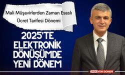 Mali Müşavirlerden Zaman Esaslı Ücret Tarifesi Dönemi: 2025'te Elektronik Dönüşümde Yeni Dönem