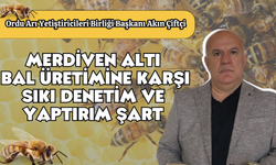 Merdiven Altı Bal Üretimine Karşı Sıkı Denetim ve Yaptırım Şart