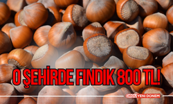 O Şehirde Fındık 800 TL!