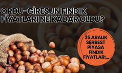 Ordu-Giresun Fındık Fiyatları Ne Kadar Oldu? 25 Aralık Serbest Piyasa Fındık Fiyatları…