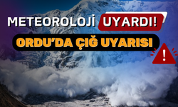 Ordu İçin Çığ Tehlikesi Uyarısı: Meteoroloji'den Kritik Açıklama