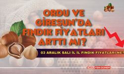 Ordu Ve Giresun’da Fındık Fiyatları Arttı Mı? 03 Aralık Salı İl İl Fındık Fiyatları Ne?