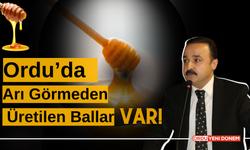 Ordu’da Arı Görmeden Üretilen Ballar Var!