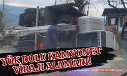 Ordu’da Büyük Kaza: Yük Dolu Kamyonet Virajı Alamadı!