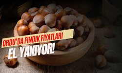 Ordu’da Fındığın Fiskobirlik Fiyatı Düşük, Marketin Fiyatı Uçuk!