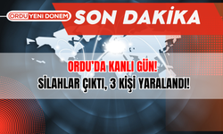 Ordu’da Kanlı Gün! Silahlar Çıktı, 3 Kişi Yaralandı!