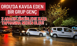 Ordu’da Kavga Eden Bir Grup Genç, 3 Aracın Zincirleme Kaza Yapmasına Neden Oldu!