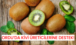 Ordu’da Kivi Üreticilerine Destek!