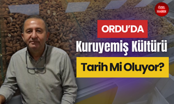 Ordu’da Kuruyemiş Kültürü Tarih Mi Oluyor?