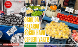 Ordu’da  Pazarda  Soğuk Hava Cepleri Yaktı!