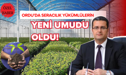 Ordu’da Seracılık Yükümlülerin Yeni Umudu Oldu!