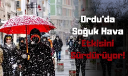 Ordu'da Soğuk Hava Etkisini Sürdürüyor