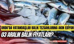 Ordu’da Vatandaşlar Balık Tezgahlarına Akın Ediyor: 03 Aralık Balık Fiyatları?