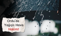 Ordu’da Yağışlı Hava Hakim!