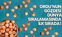 Ordu’nun Gözdesi Dünya Sıralamasında İlk Sırada!