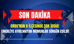 Ordu’nun O İlçesinde Şok İddia! Emekliye Ayrılmayan Memurlar Sürgün Edildi!