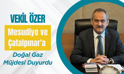 Vekil Özer, Mesudiye ve Çatalpınar'a Doğal Gaz Müjdesi Duyurdu