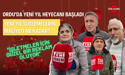 Yeni Yıl Süslemelerin Maliyeti Ne Kadar? Ordu Halkı Süslemelerle İlgili Ne Düşünüyor?