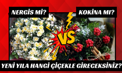 Nergis mi? Kokina mı? Hangi Çiçekle Yeni Yıla Merhaba Diyeceksiniz?