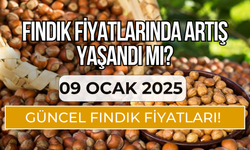 09 Ocak 2025 Güncel Fındık Fiyatları! Fındık Fiyatlarında Artış Yaşandı Mı?