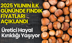 2025 Yılının İlk Gününde Fındık Fiyatları Açıklandı: Üretici Hayal Kırıklığı Yaşıyor