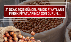 21 Ocak 2025 Güncel Fındık Fiyatları? Fındık Fiyatlarında Son Durum…