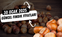 30 Ocak 2025 Güncel Fındık Fiyatları: Ordu, Giresun ve Samsun’da Son Durum